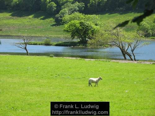 Glencar Lake